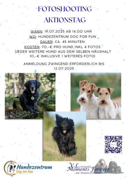 Flyer Aktionstag Fotoshooting Hundezentrum Dogs for Fun