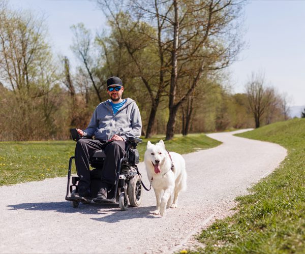hundezentrum-dog-for-fun-inhalte-09