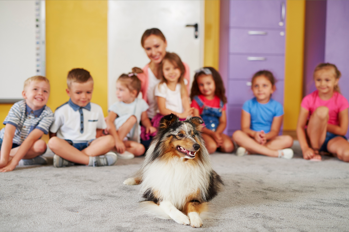 hundezentrum-dog-for-fun-inhalte-05